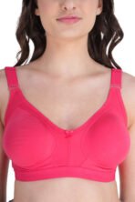 Dempsey Cotton Solid Non Padded Hakoba Everyday Bra - Image 4